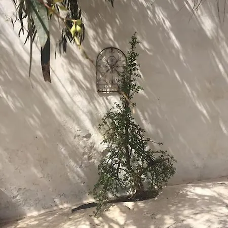 Iii At Orig. Finca,, Sea Views *