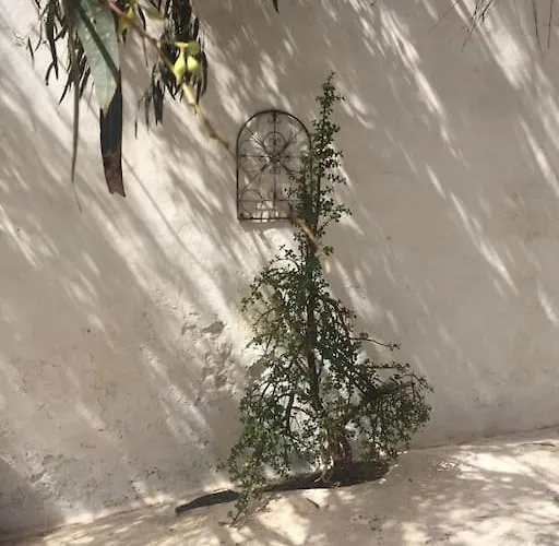 Iii At Orig. Finca,, Sea Views *